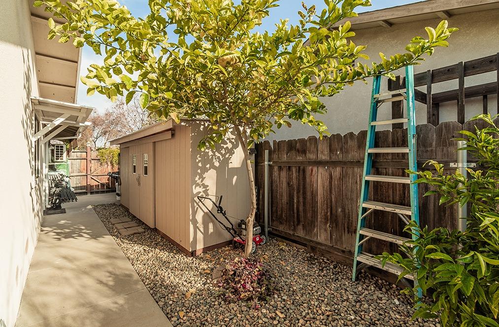 3012 Stanford Avenue Clovis, CA 93611 - Photo 33 of 41 a backyard of a house with lots of green space