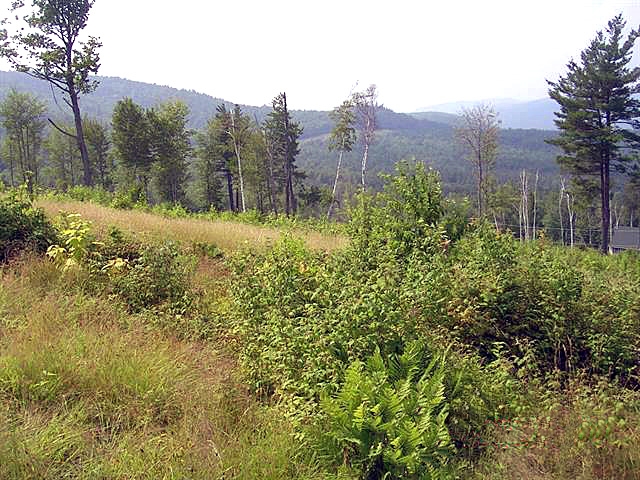 179 Valley View Road Hebron, NH 03241 - Photo 4 of 5