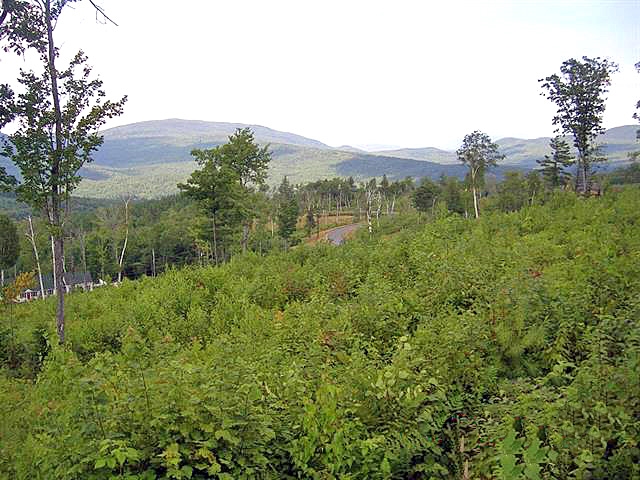 179 Valley View Road Hebron, NH 03241 - Photo 5 of 5