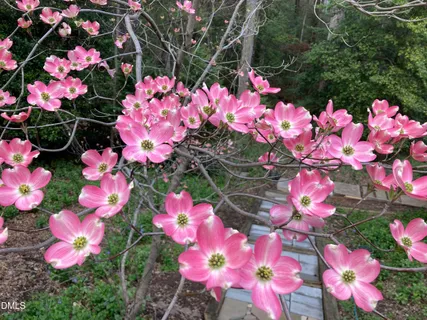 $1,090,000 | 1505 October Road, Raleigh, NC 27614