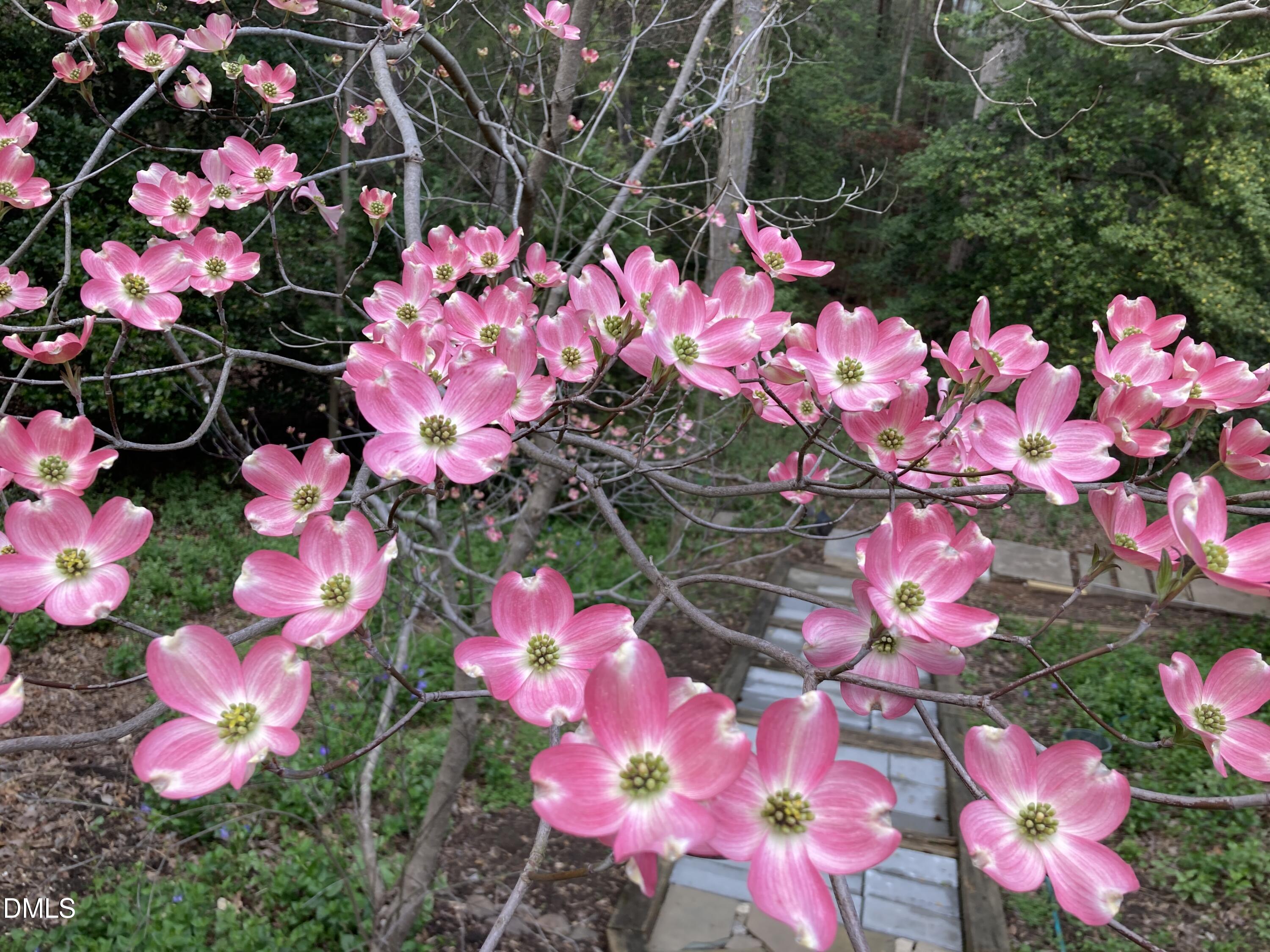 1505 October Road Raleigh, NC 27614 - Photo 69 of 76 IMG_4997