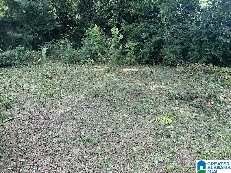 520 11th Street Southwest Birmingham, AL 35211 - Photo 11 of 11