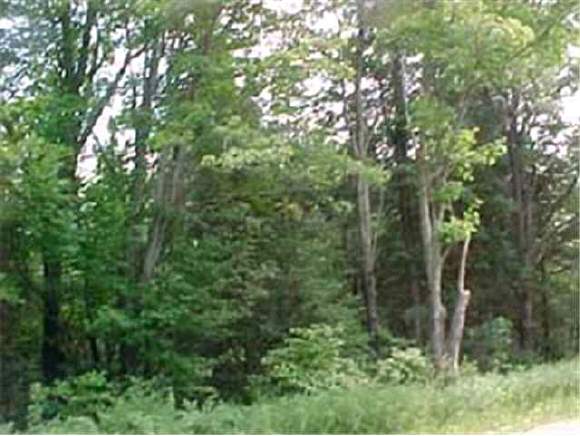 245 Success Road Milan, NH 03588 - Photo 1 of 1