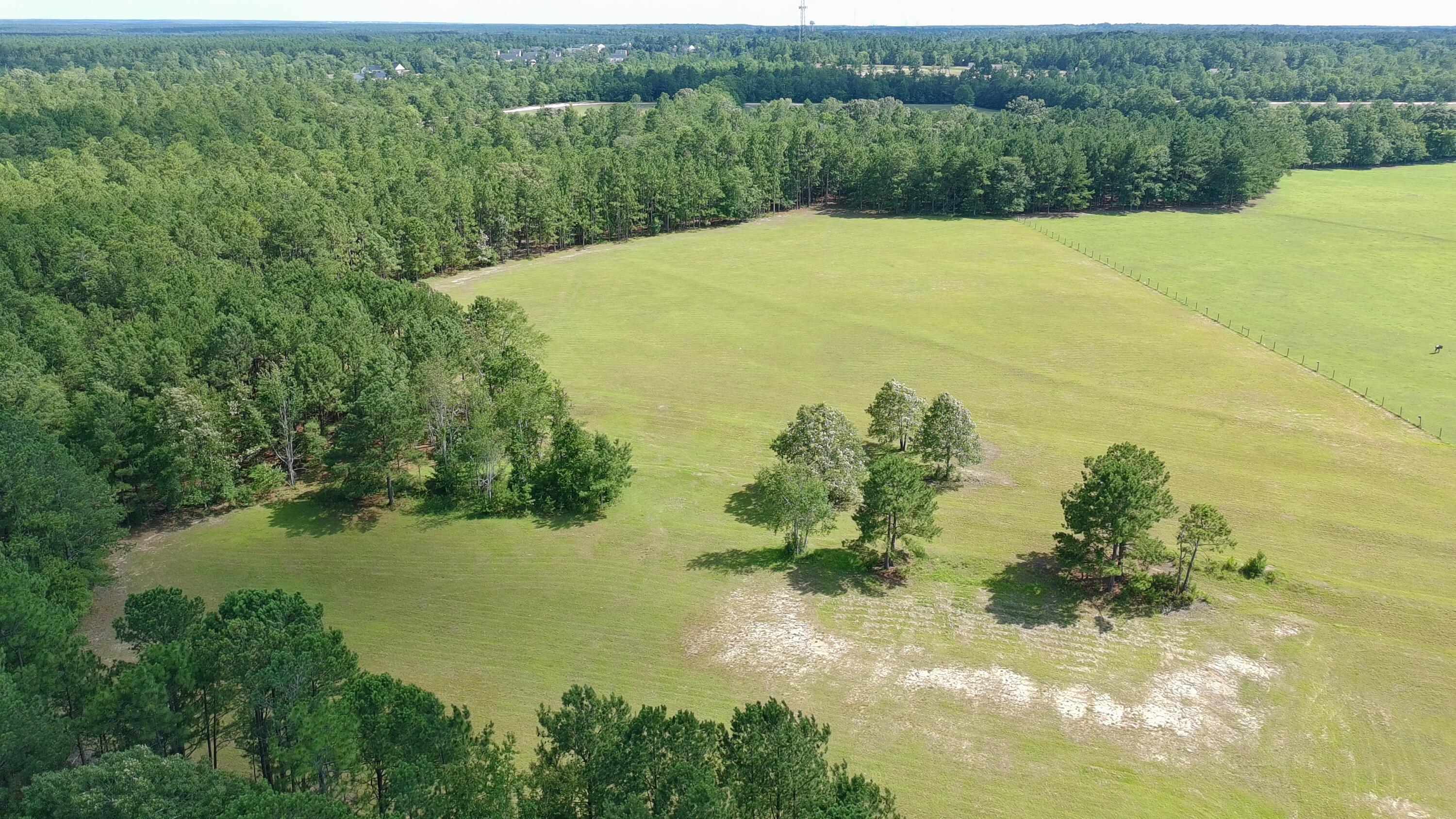 41-acres Whiskey Road Aiken, SC 29803 - Photo 19 of 44