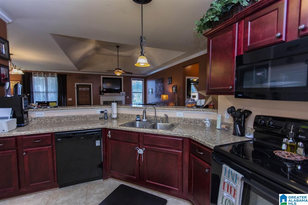 597 Village Springs Lane Springville, AL 35146 - Photo 10 of 32