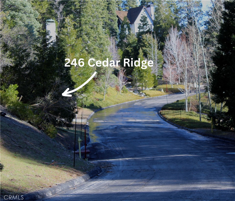 246 Cedar Ridge Drive Lake Arrowhead, CA 92352 - Photo 1 of 1 a view of outdoor space and yard
