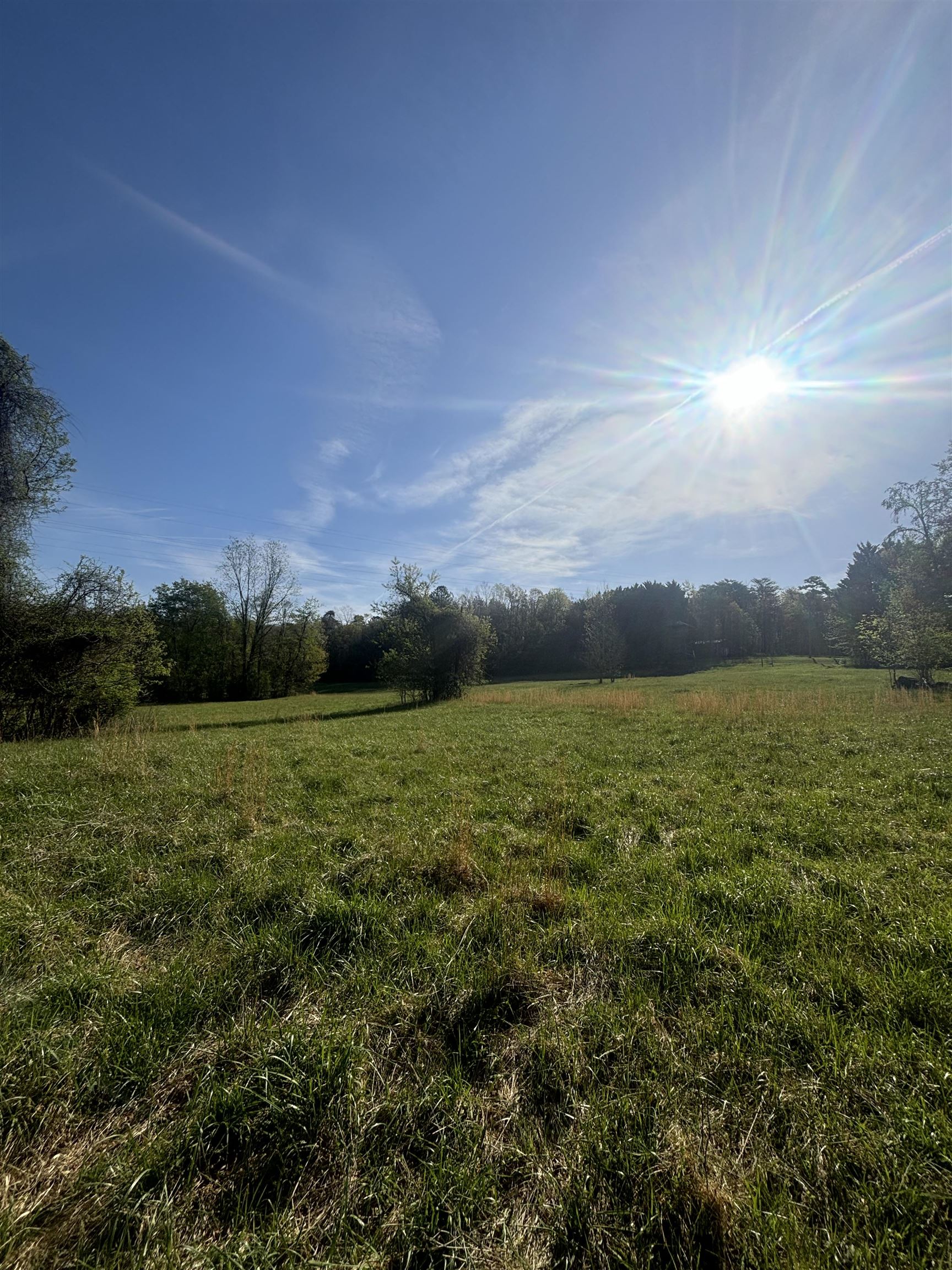 0 Blockhouse Road Landrum, SC 29356 - Photo 11 of 13