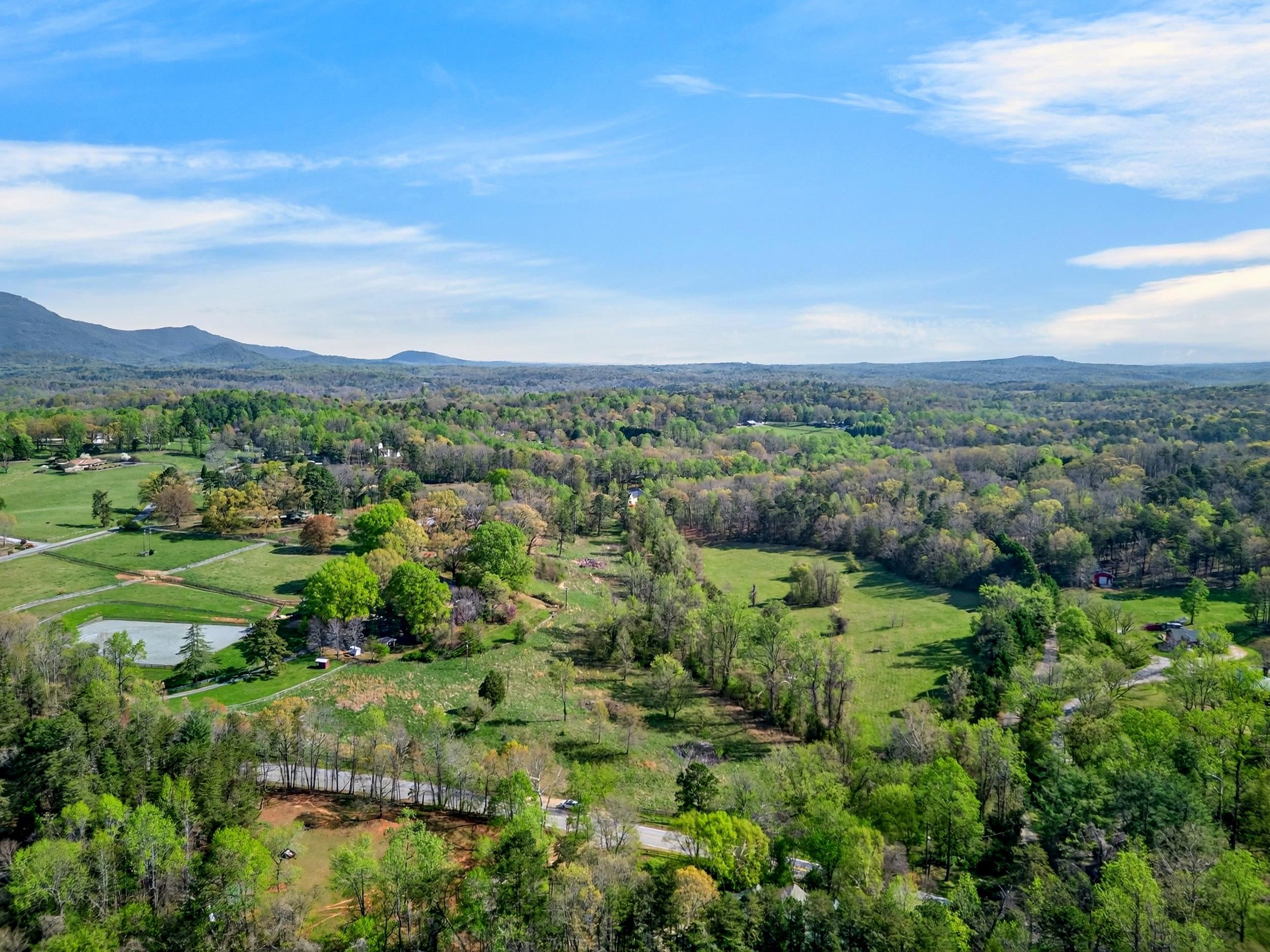 0 Blockhouse Road Landrum, SC 29356 - Photo 2 of 13