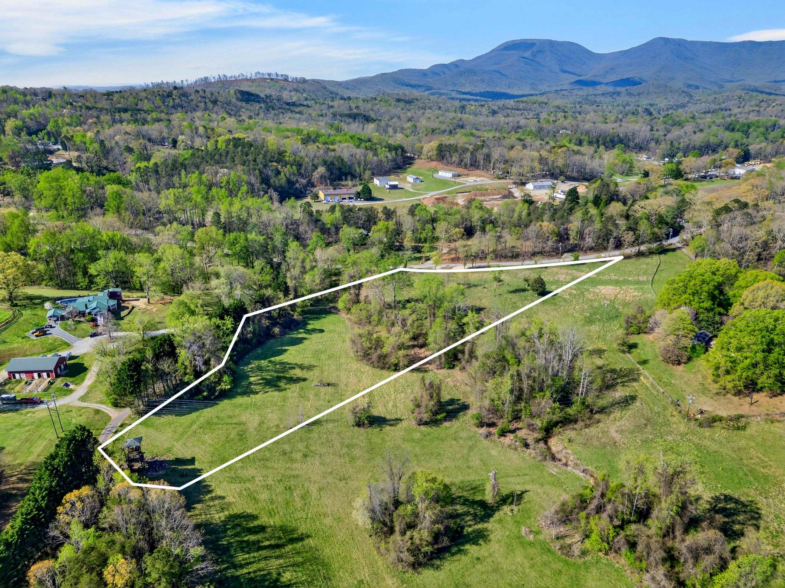 0 Blockhouse Road Landrum, SC 29356 - Photo 3 of 13