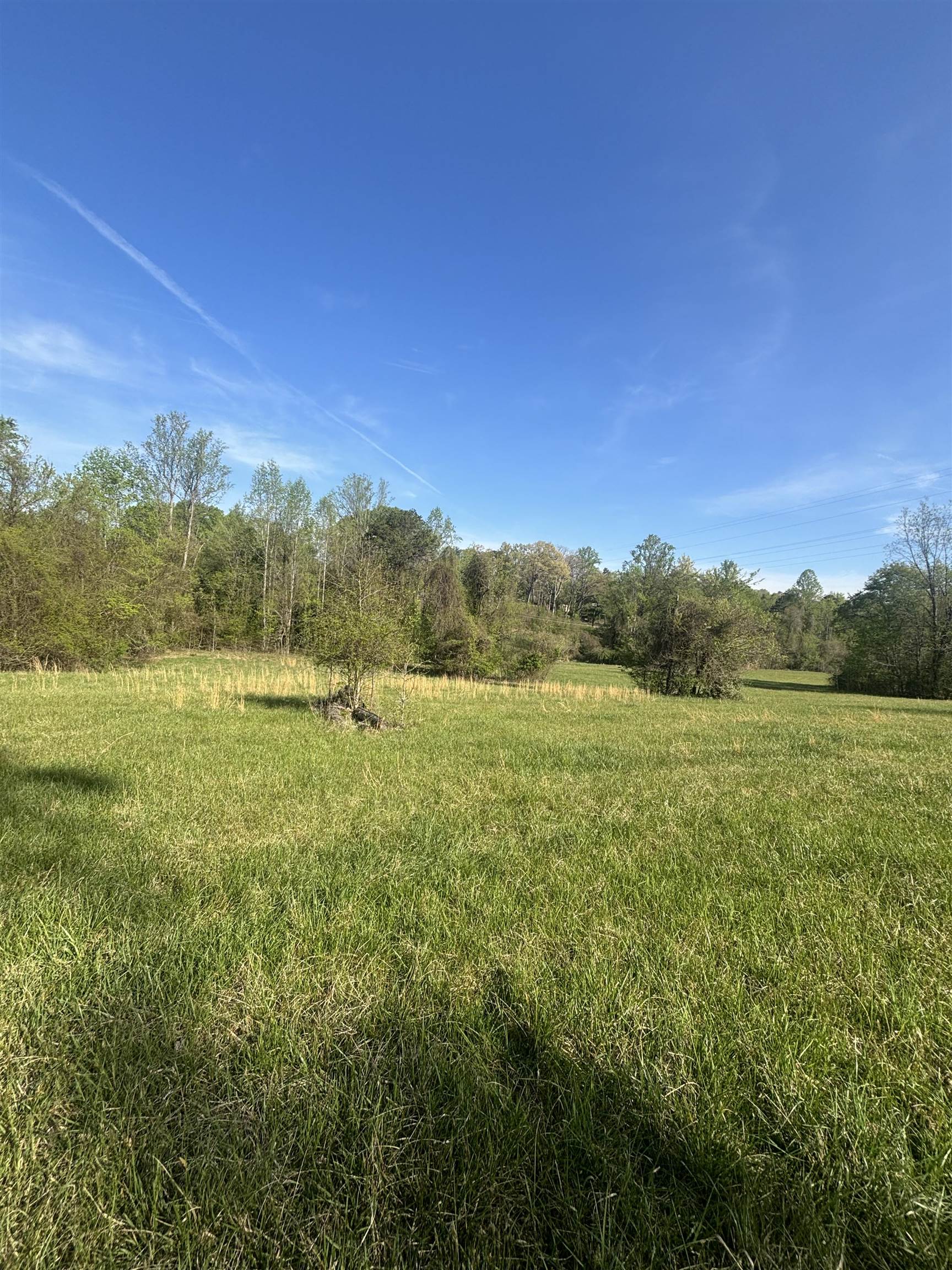 0 Blockhouse Road Landrum, SC 29356 - Photo 4 of 13