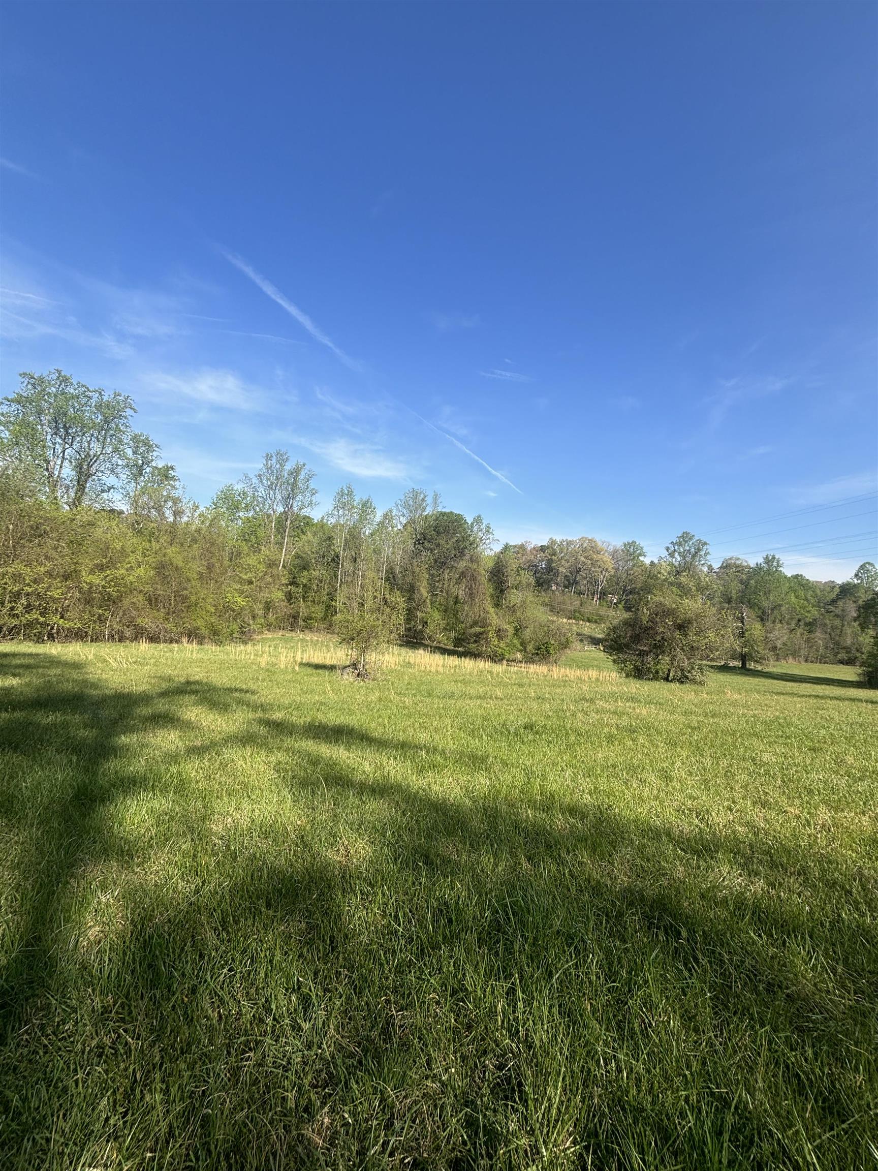 0 Blockhouse Road Landrum, SC 29356 - Photo 5 of 13
