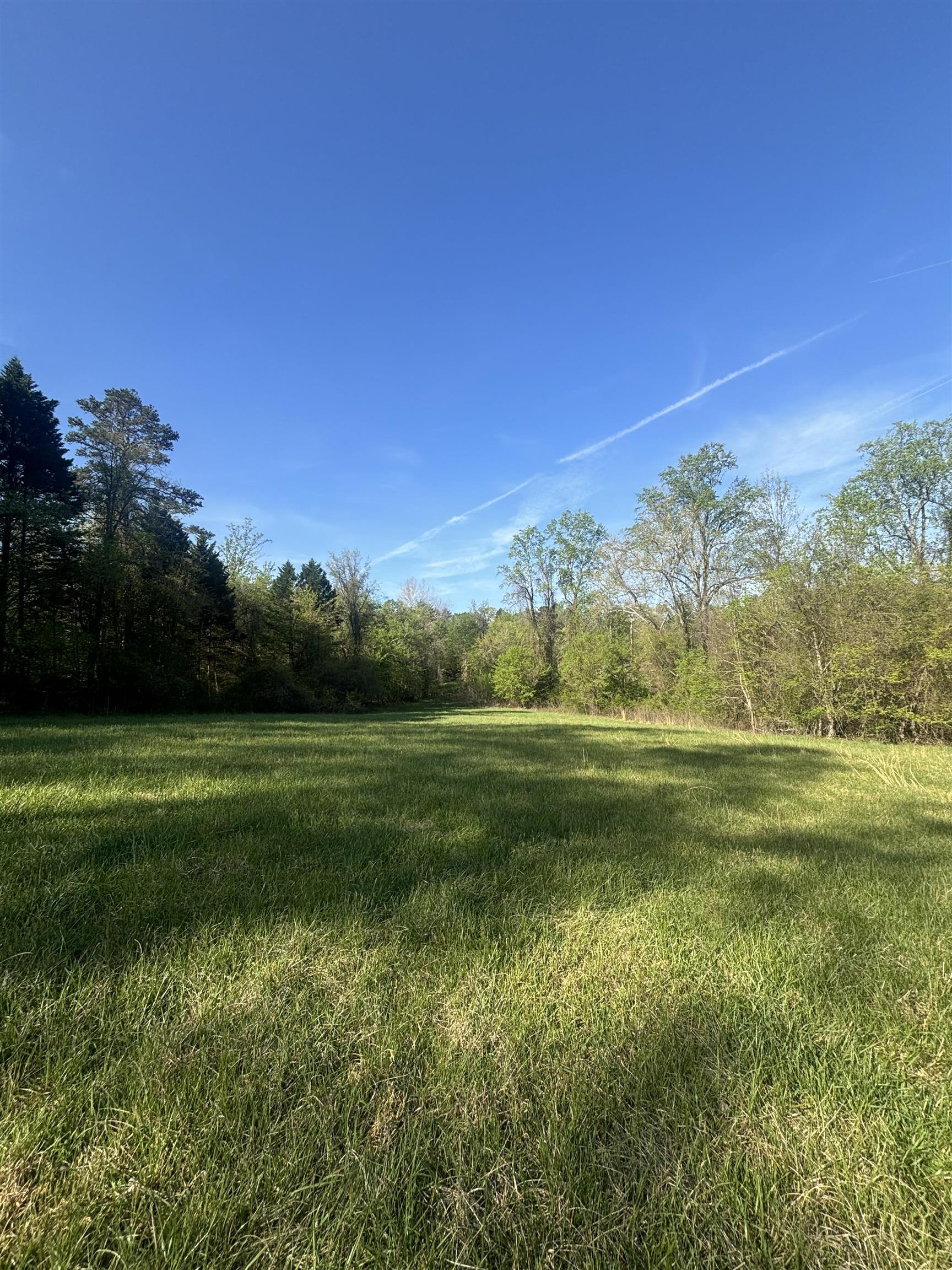 0 Blockhouse Road Landrum, SC 29356 - Photo 6 of 13