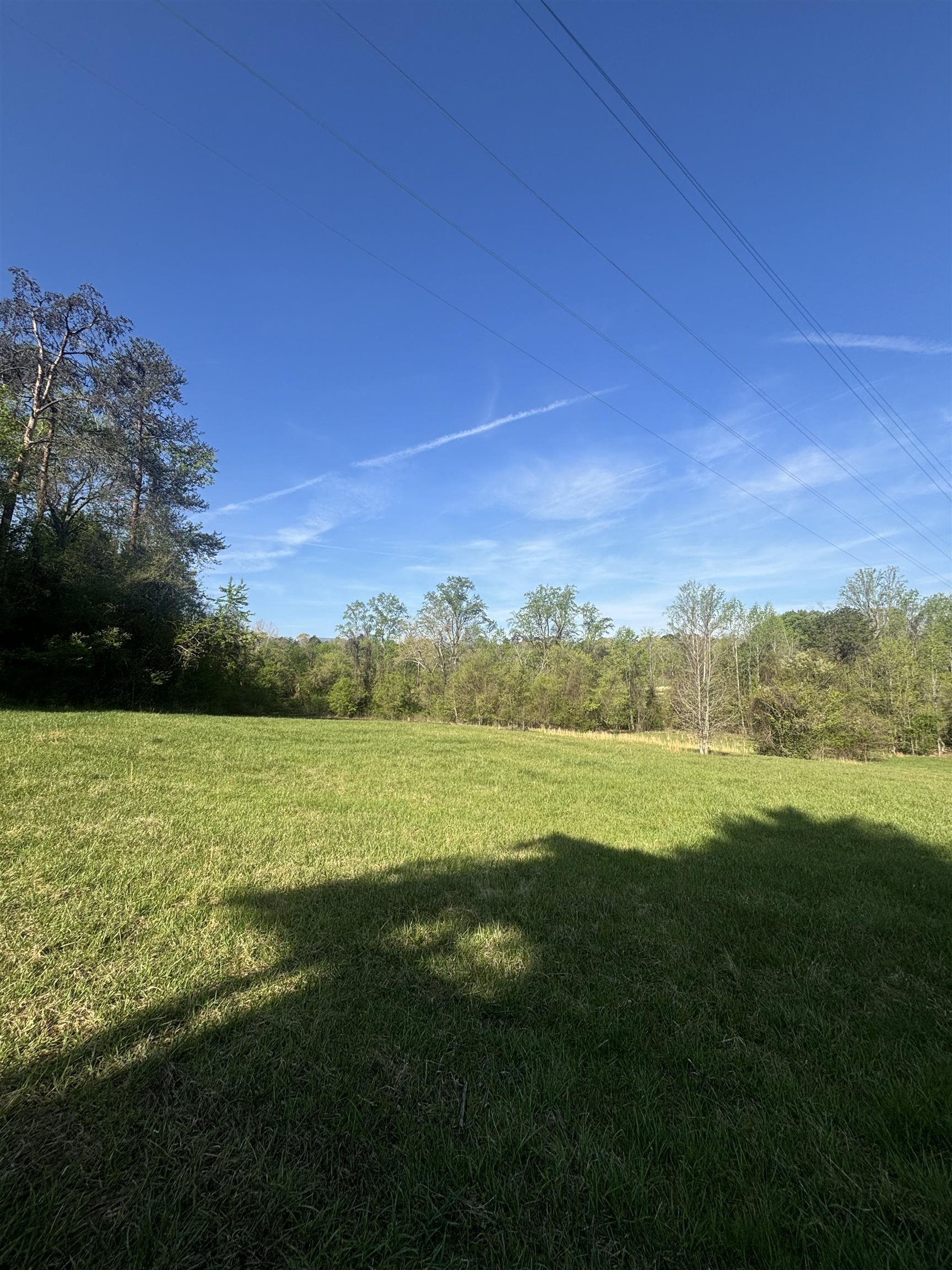 0 Blockhouse Road Landrum, SC 29356 - Photo 7 of 13
