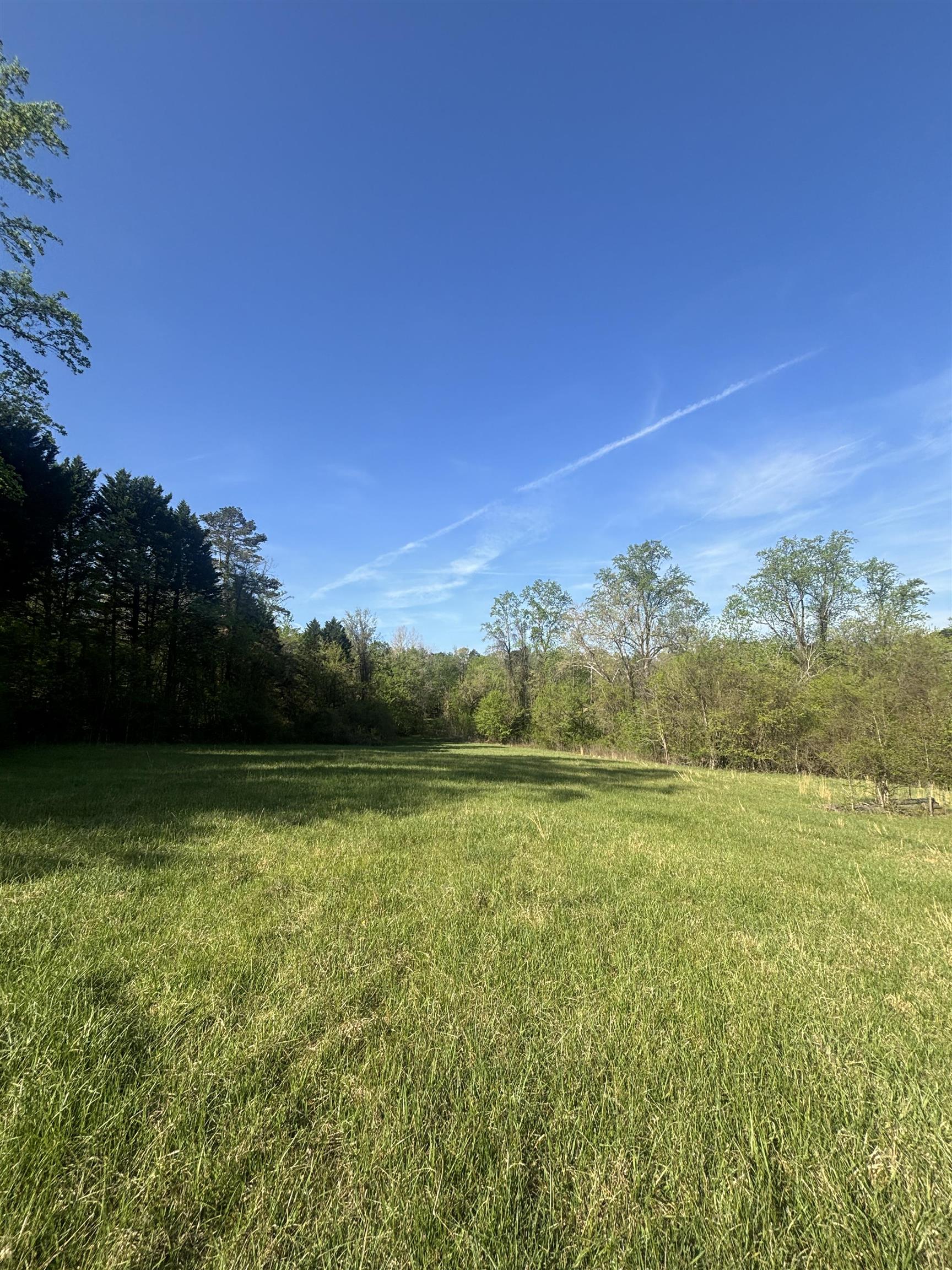 0 Blockhouse Road Landrum, SC 29356 - Photo 8 of 13