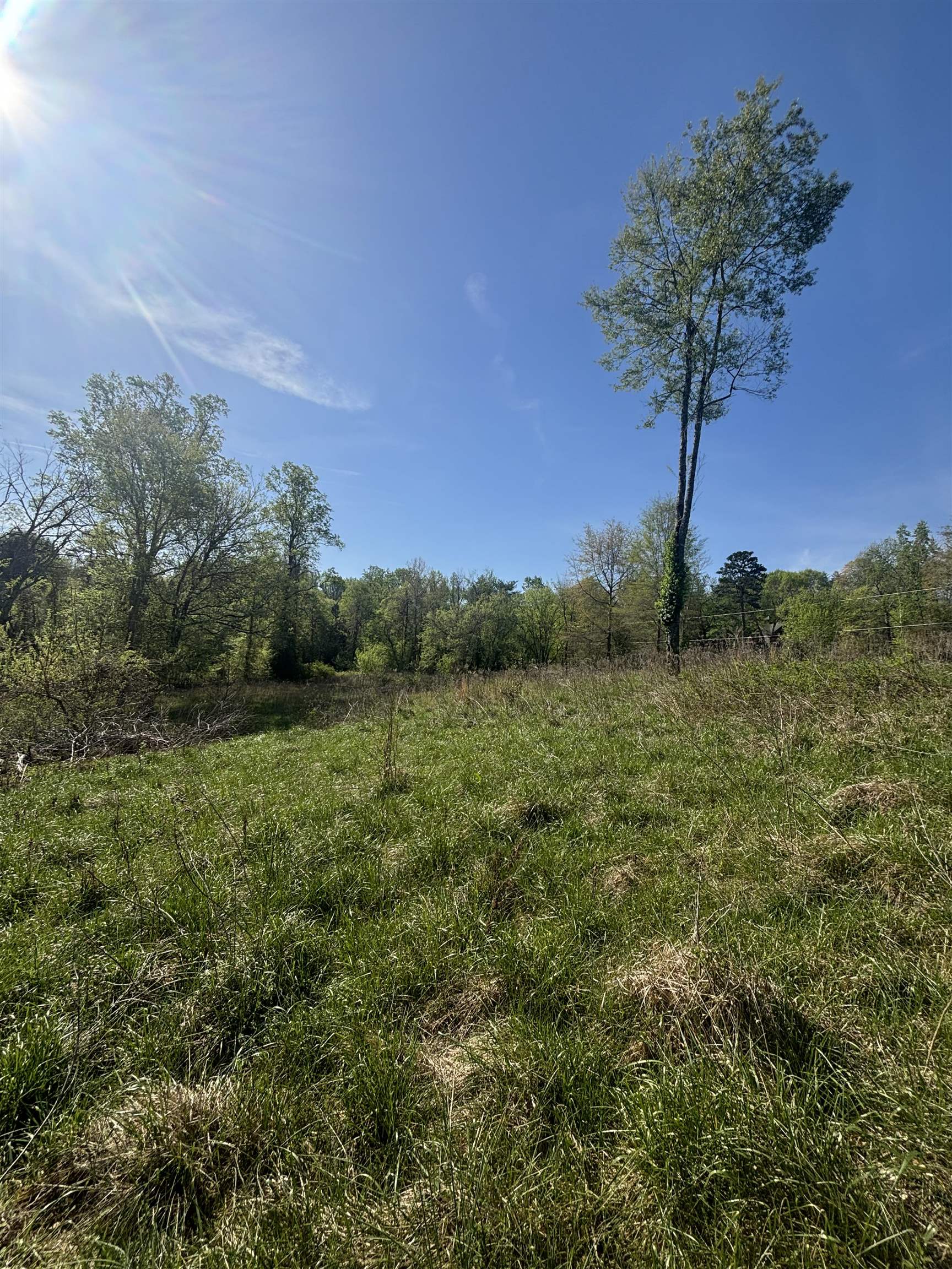 0 Blockhouse Road Landrum, SC 29356 - Photo 9 of 13