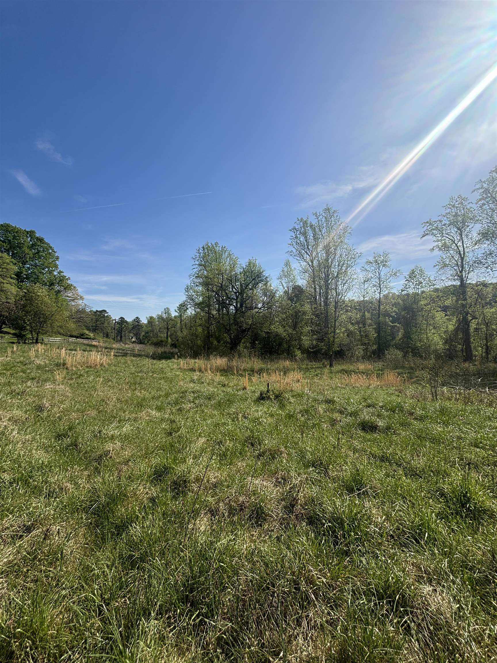 0 Blockhouse Road Landrum, SC 29356 - Photo 10 of 13