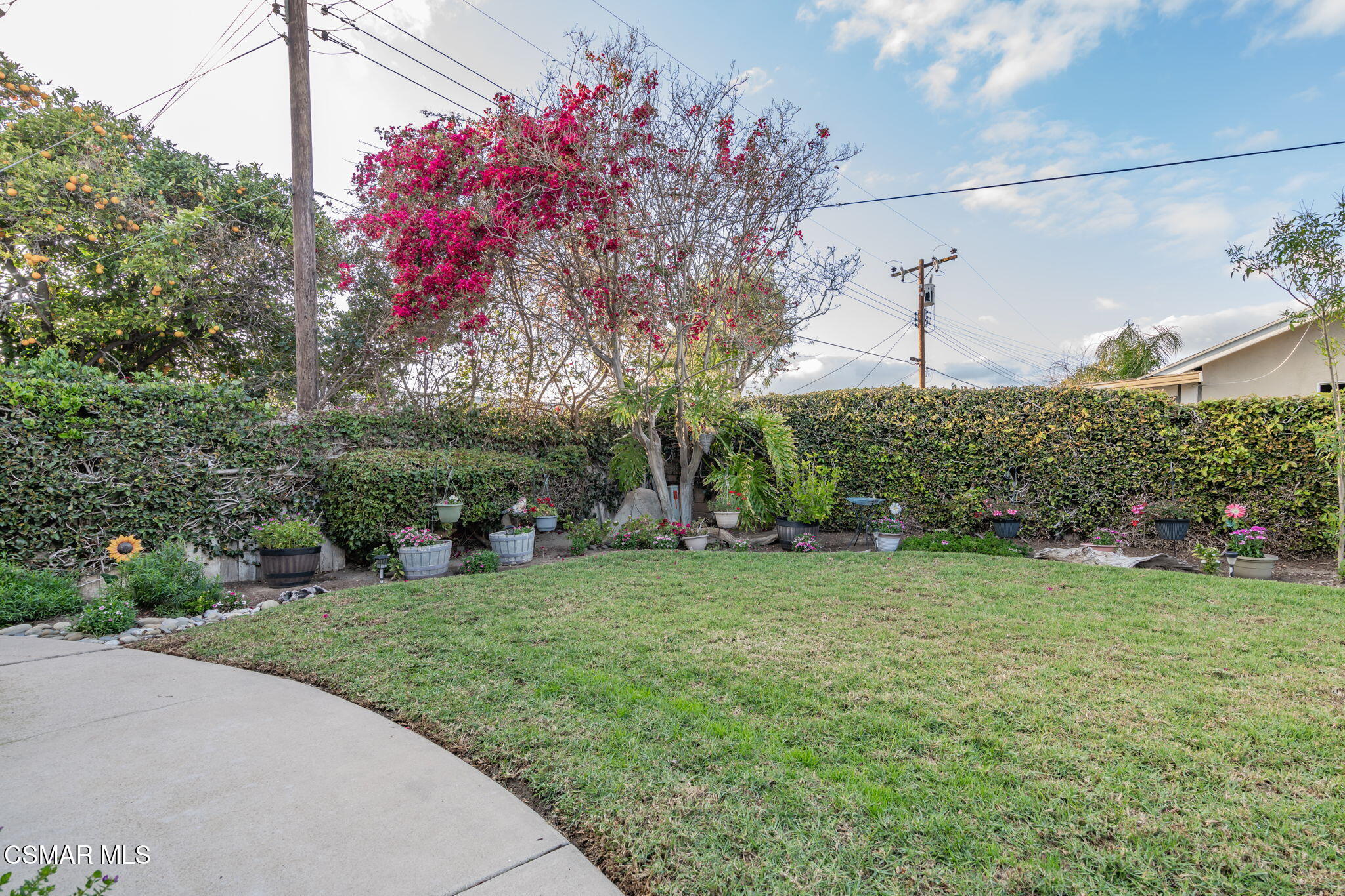 1213 Currant Avenue Simi Valley, CA 93065 - Photo 43 of 53 43-web-or-mls-_CK19767