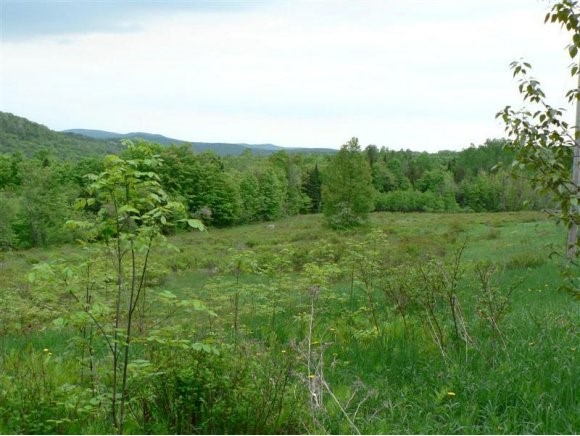 - Shadow Lake Road Glover, VT 05839 - Photo 1 of 1