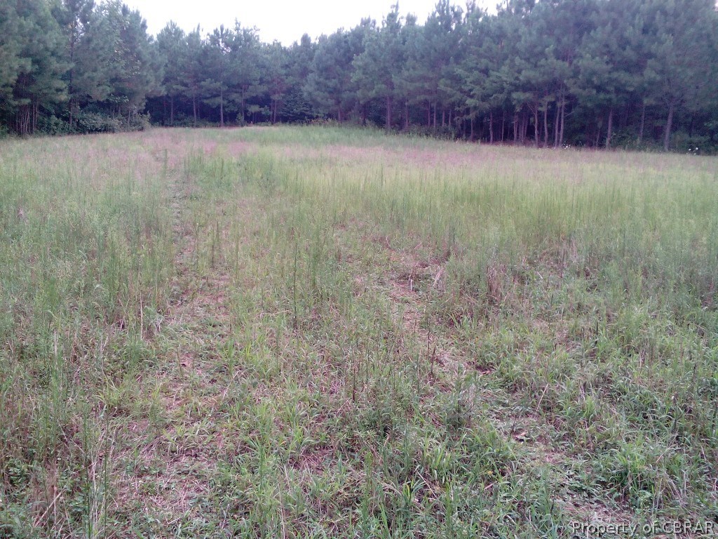 57.4-ac 57.4-ac Poplar Grove Road Center Cross, VA 22437 - Photo 10 of 12