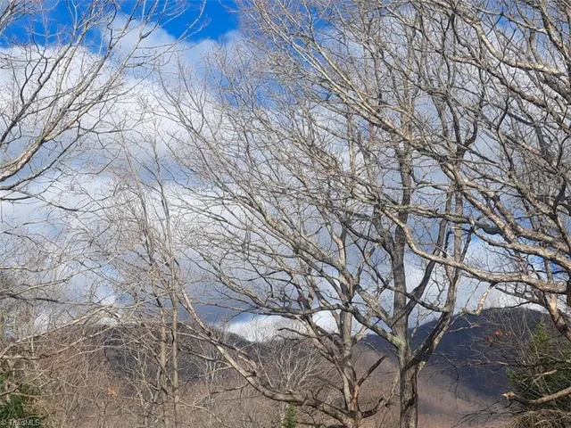 $225,000 | 944 Doe Run Road, Ararat, VA 24053