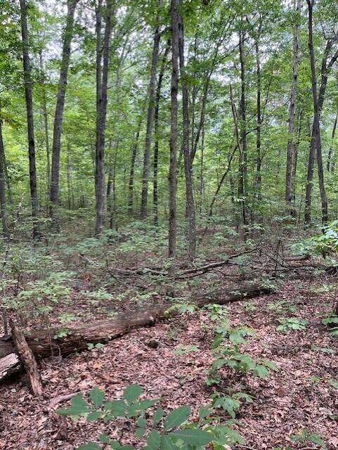 123 Retro Hughes Road Graysville, TN 37338 - Photo 14 of 26 14