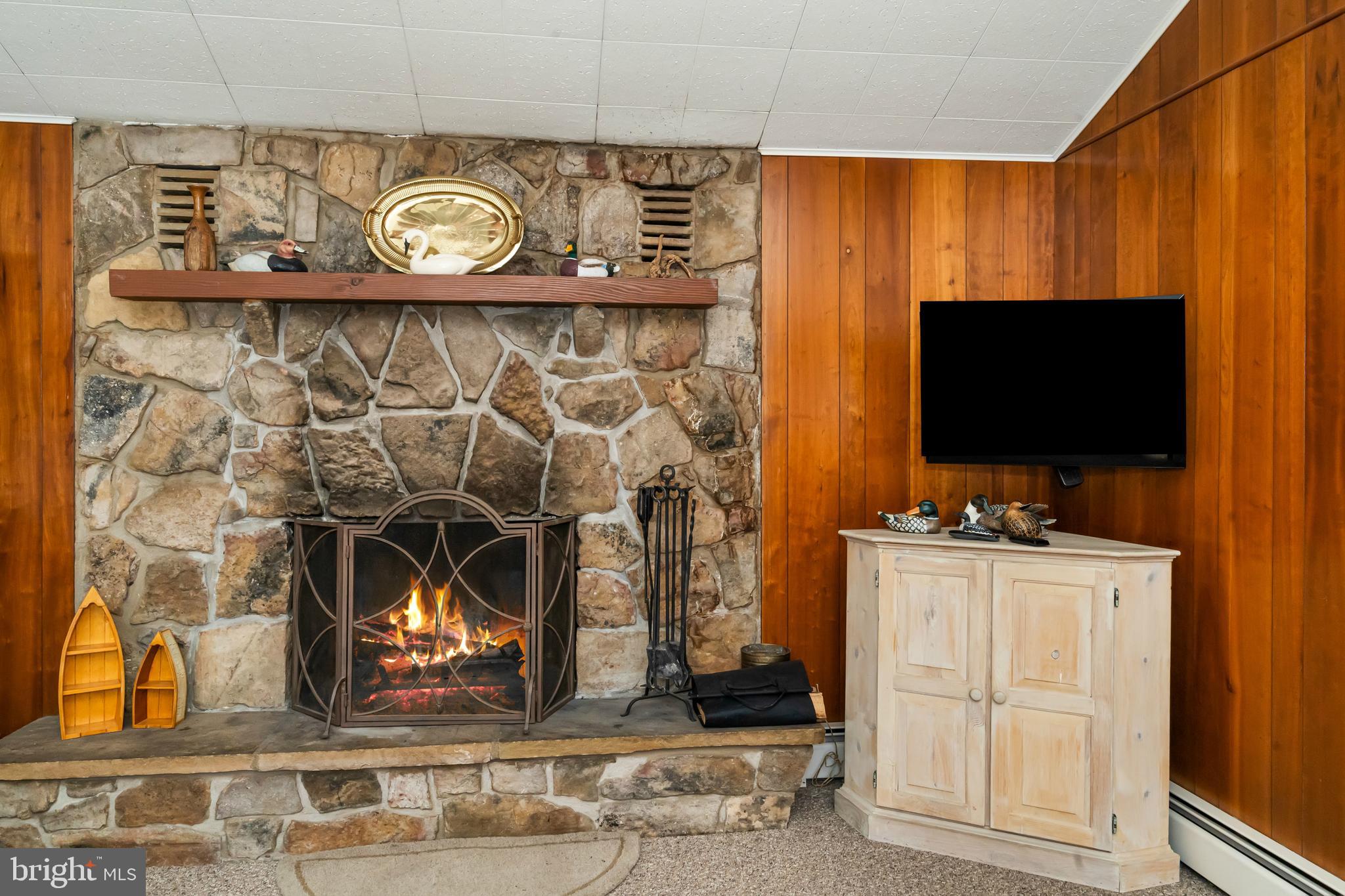 1244 Glendale Road Swanton, MD 21561 - Photo 26 of 52 Beautiful living room with stunning fireplace