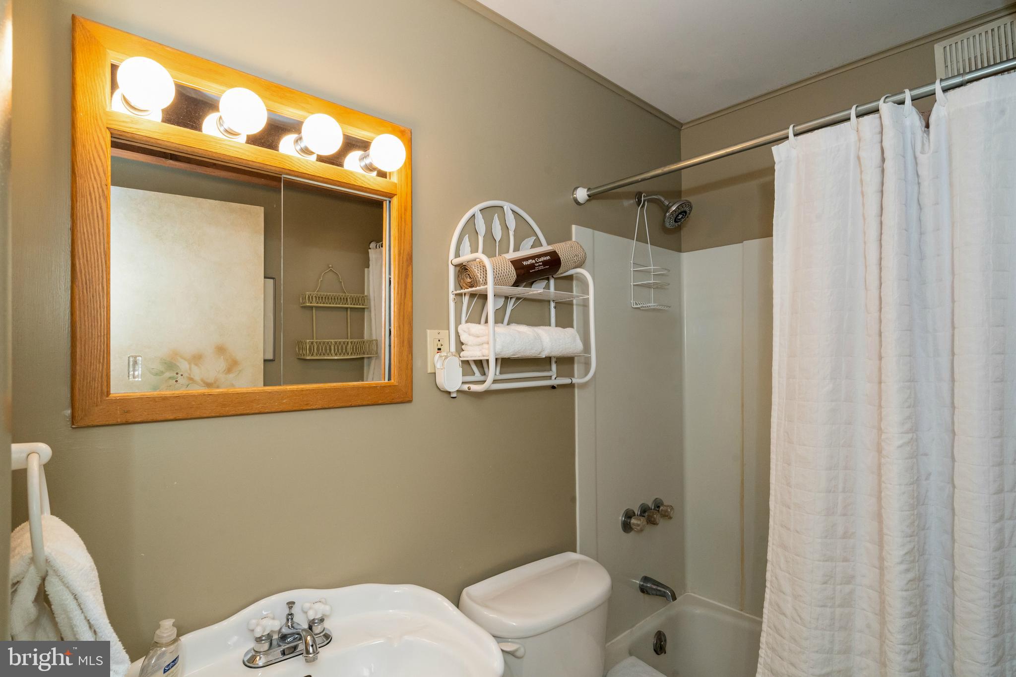 1244 Glendale Road Swanton, MD 21561 - Photo 47 of 52 Lower level full bath