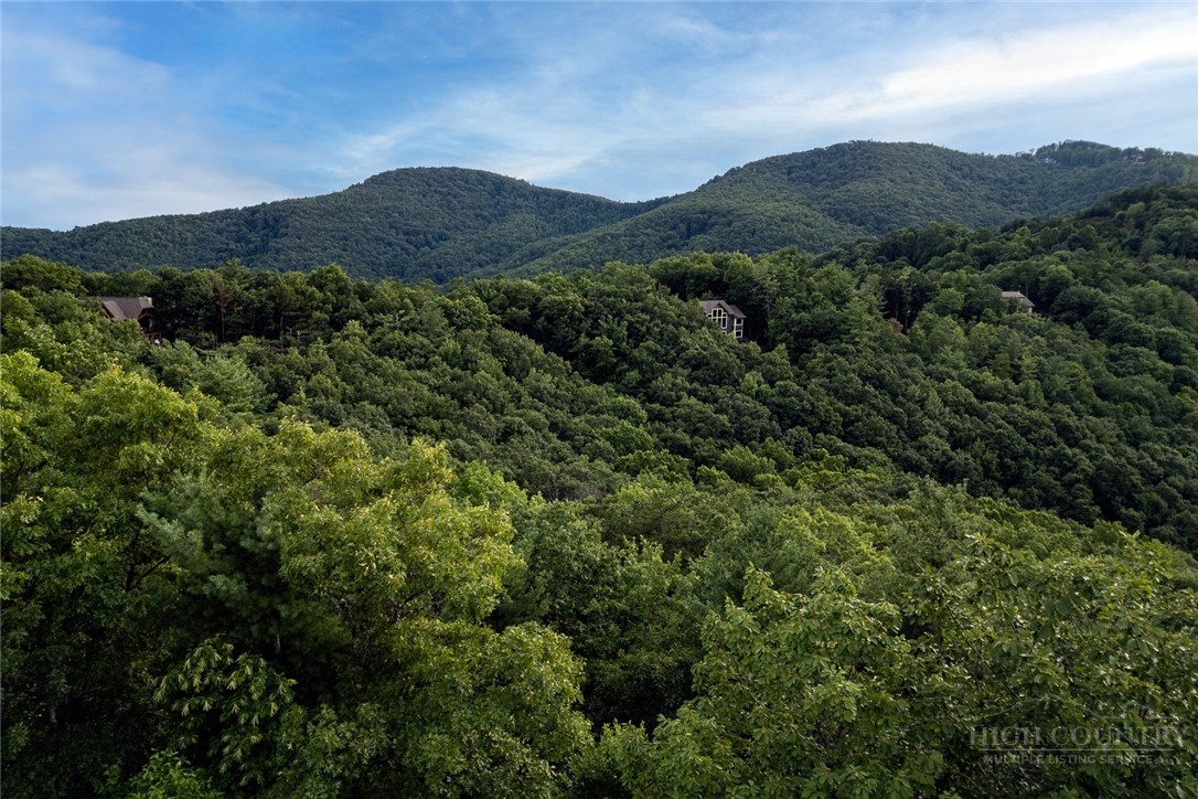 352 Pepperroot Road Boone, NC 28607 - Photo 5 of 5 a view of a lush green hillside and a houses