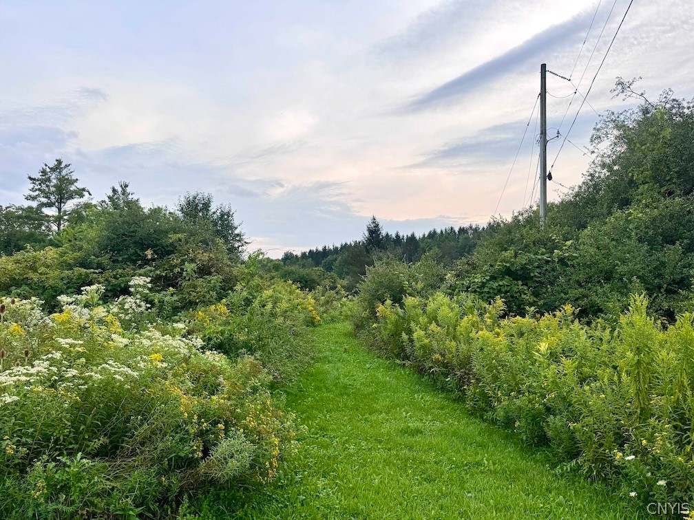 Common Road Angelica, NY 14709 - Photo 24 of 26 Gallery Image 24
