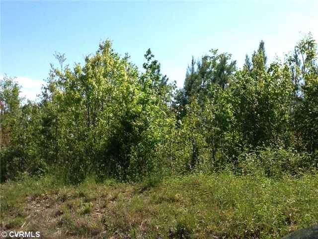 252 Ivy Hill Road Toano, VA 23168 - Photo 1 of 6 Land