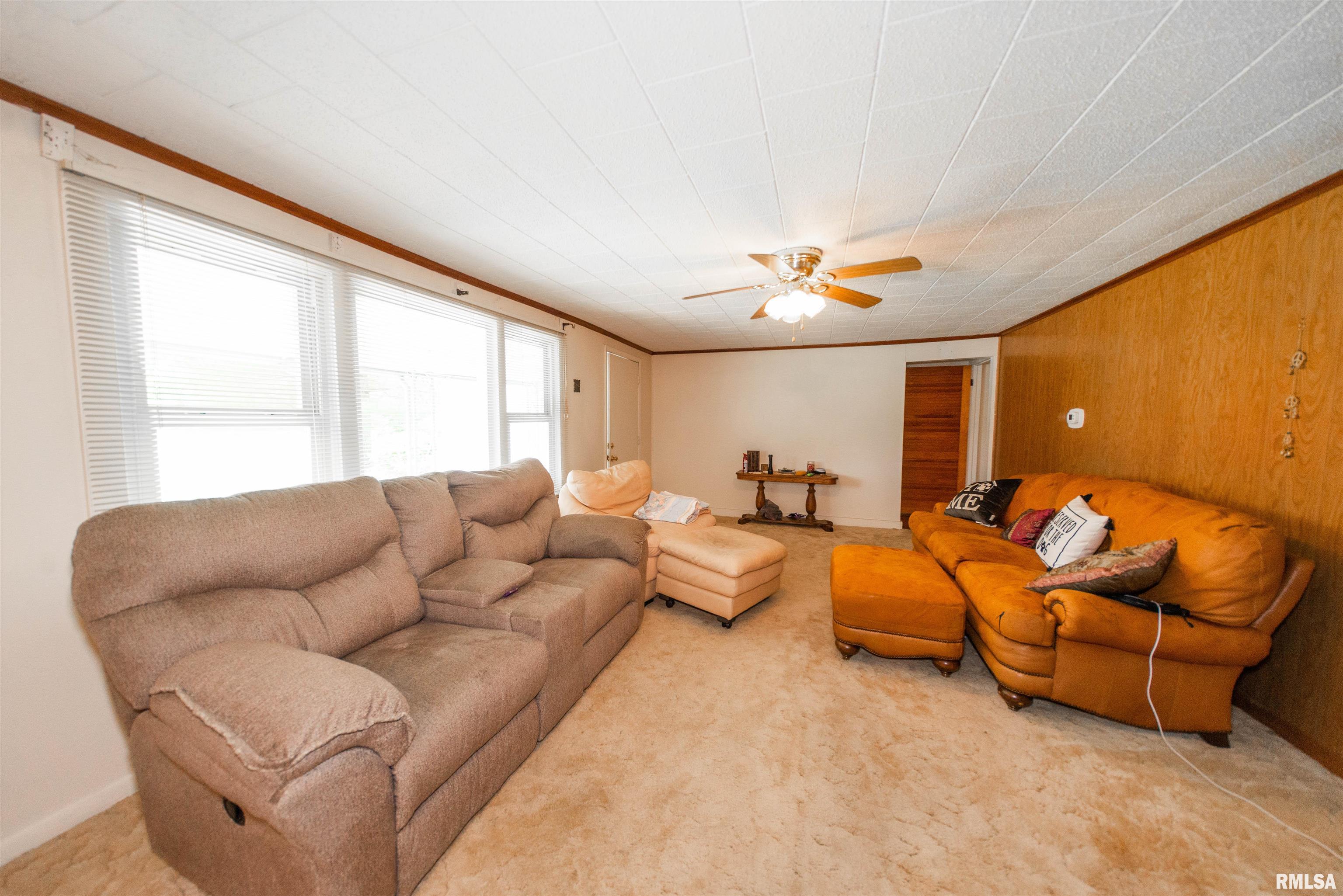 605 West State Street Buckner, IL 62819 - Photo 3 of 31