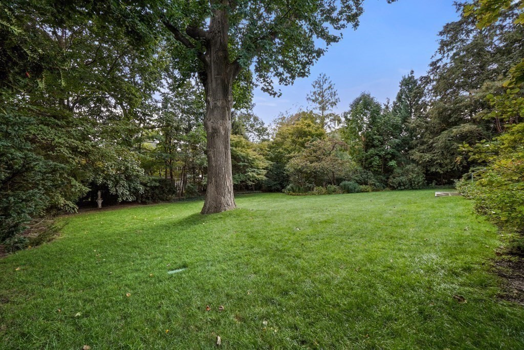 64 Highland Street Cambridge, MA 02138 - Photo 34 of 41 a view of a yard with a tree
