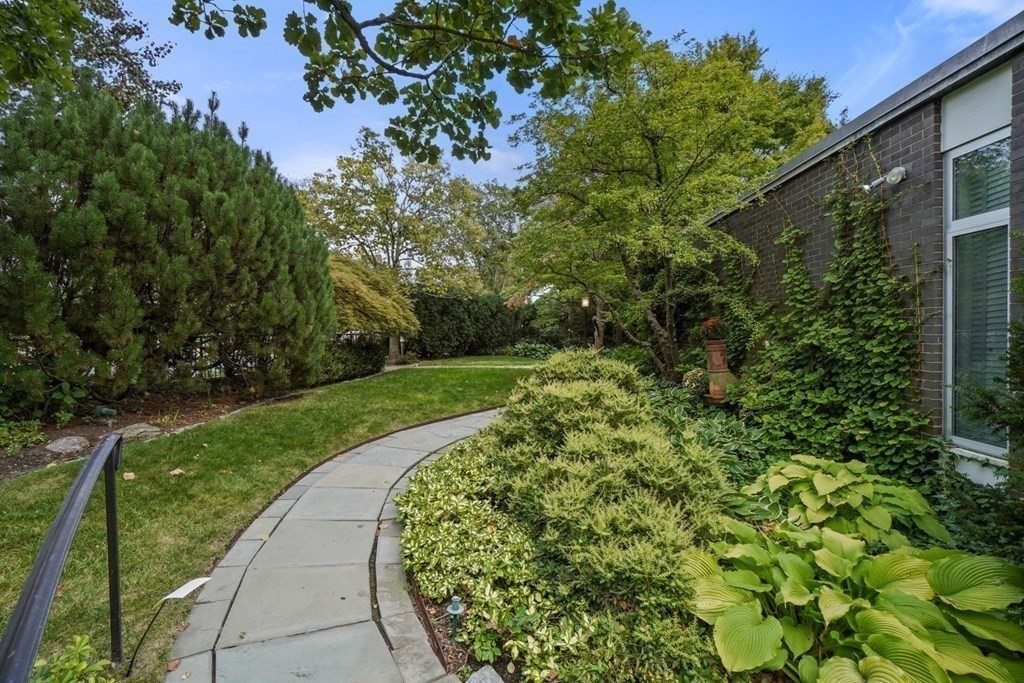 64 Highland Street Cambridge, MA 02138 - Photo 36 of 41 a view of a garden with plants