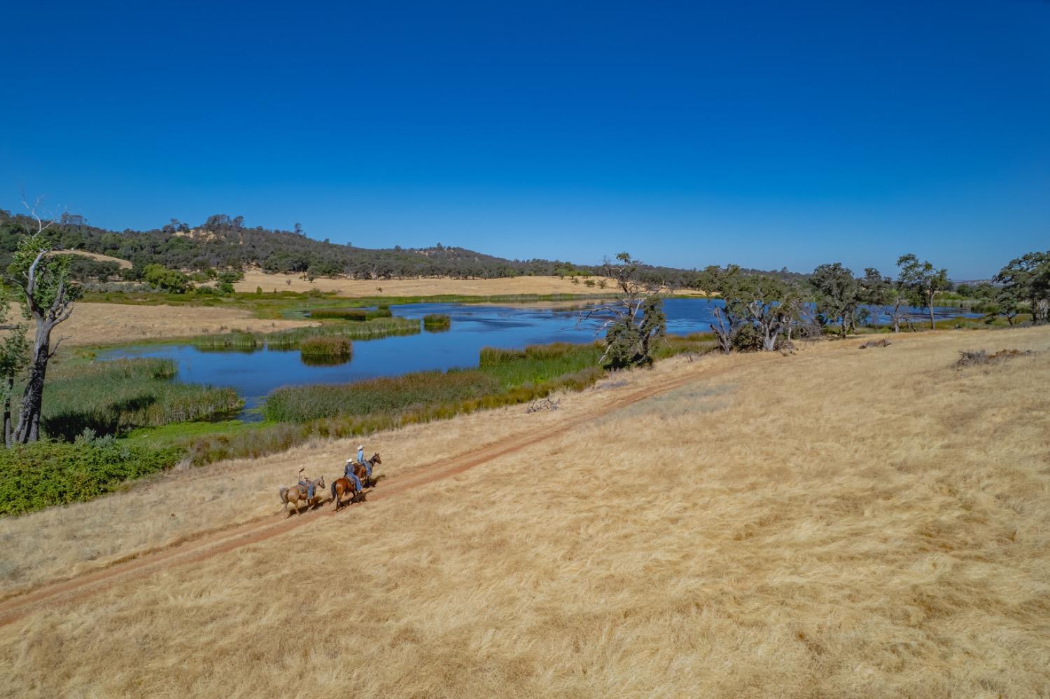 27044 McCourtney Road Grass Valley, CA 95949 - Photo 66 of 74