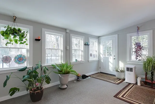 a living room with furniture flowerpot and flower plants