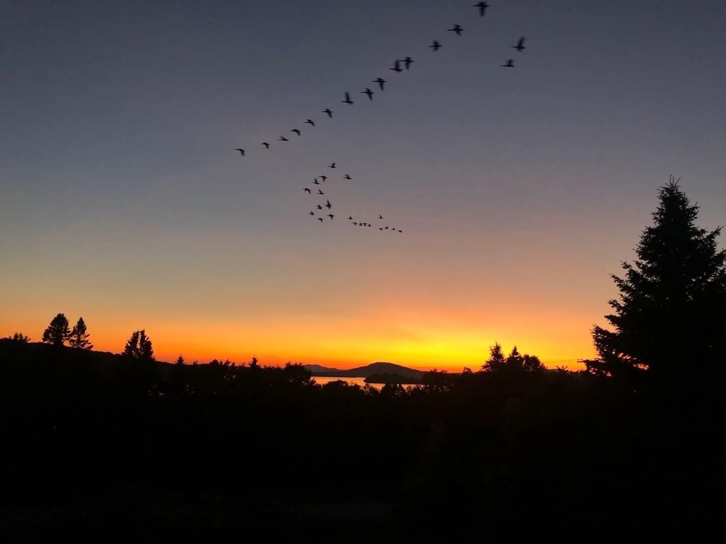 11 Overlook Road Rangeley, ME 04970 - Photo 6 of 39 b-ezgif.com-webp-to-jpg-converter