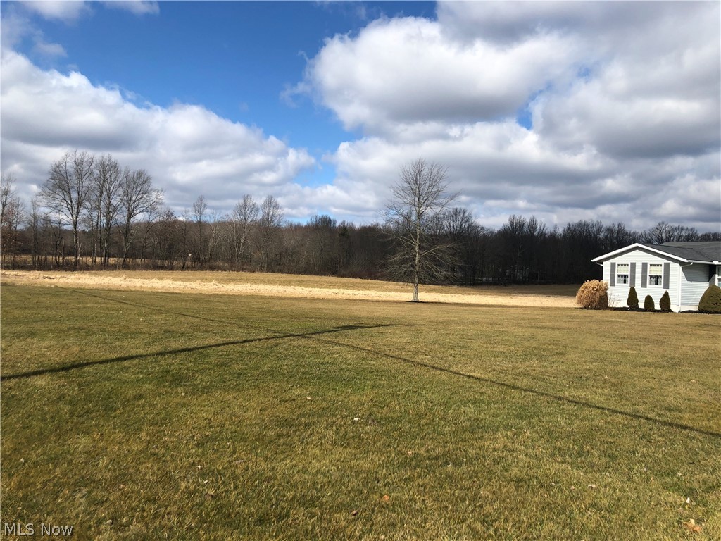 9643 Tallmadge Road Diamond, OH 44412 - Photo 6 of 35 54 acres with so many applicable uses. Horse enthusiasts would love this open space and the woods to the rear of the property.