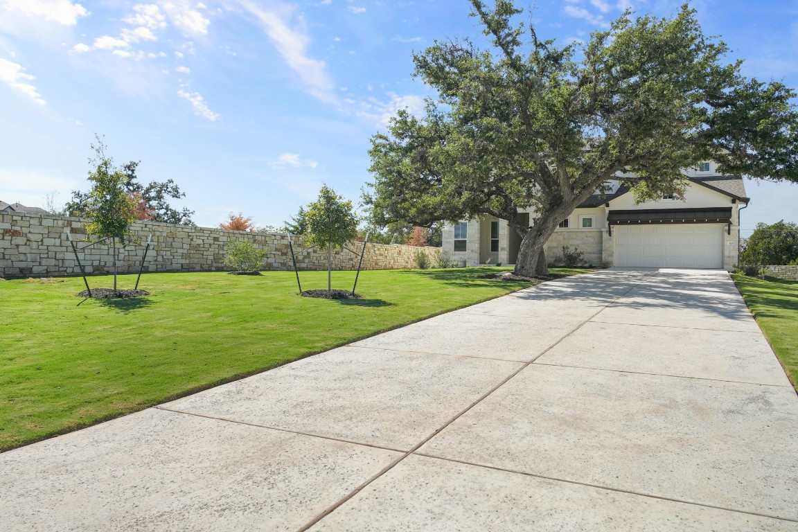 a view of a park with large trees