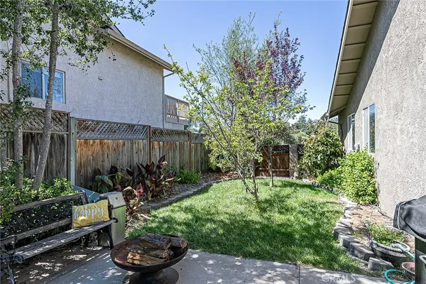 a view of a backyard with plants and a garden