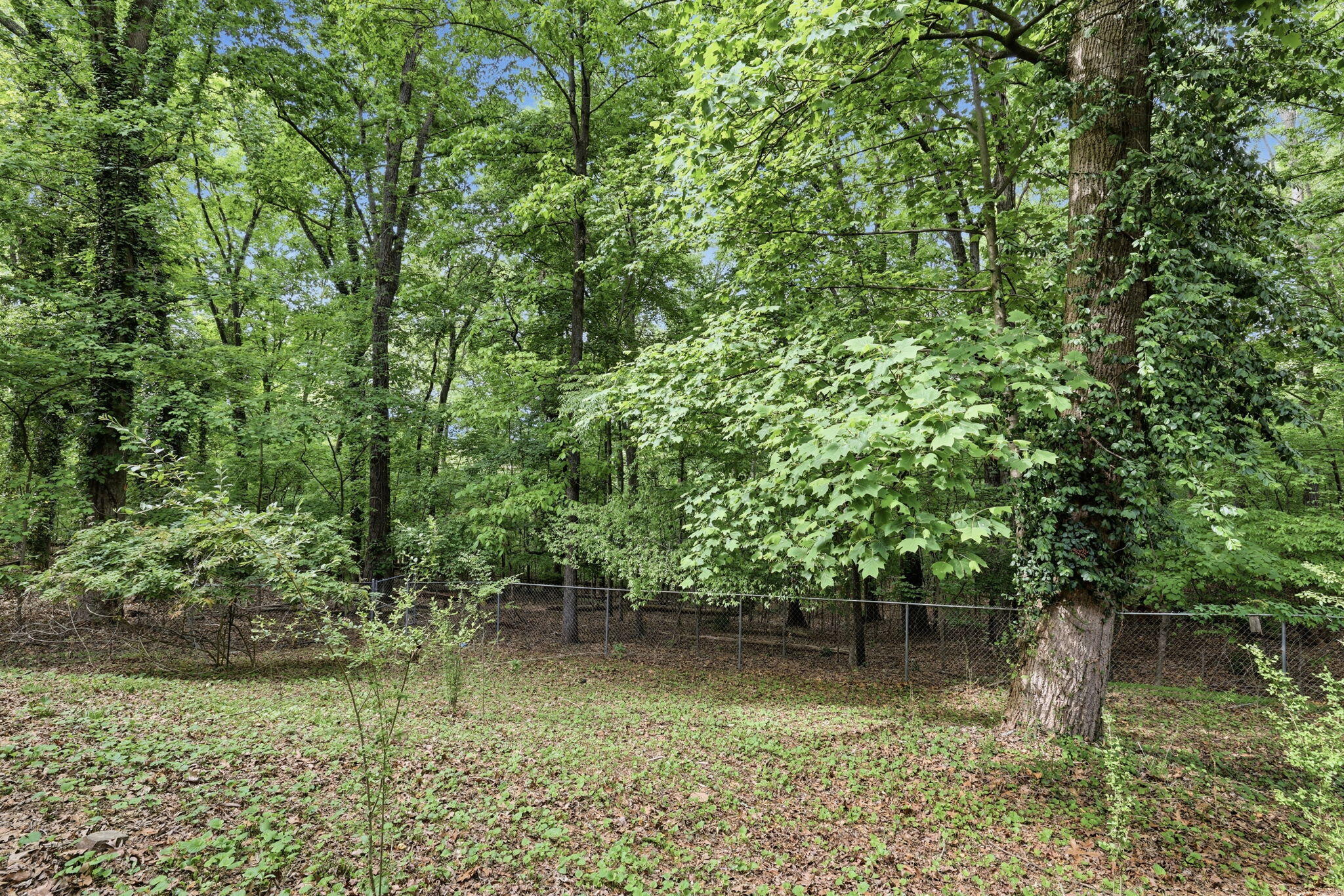 7720 Ridge Bay Drive Hixson, TN 37343 - Photo 29 of 30 7-web-or-mls-7720-ridge-bay-dr