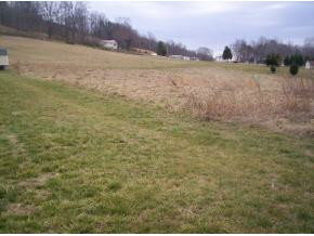 345 Rock Quarry Road Afton, TN 37616 - Photo 4 of 6 Photo 4