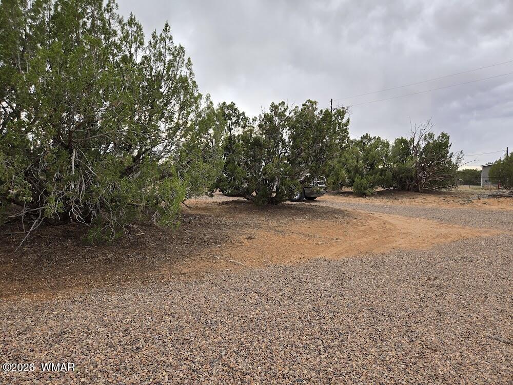 3845 Petersen Road Snowflake, AZ 85937 - Photo 39 of 60