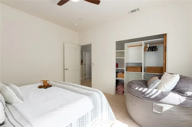 an outdoor view of a garden