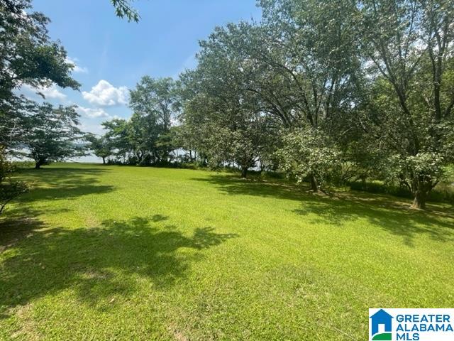 192 Oak Ridge Lane Talladega, AL 35160 - Photo 10 of 36