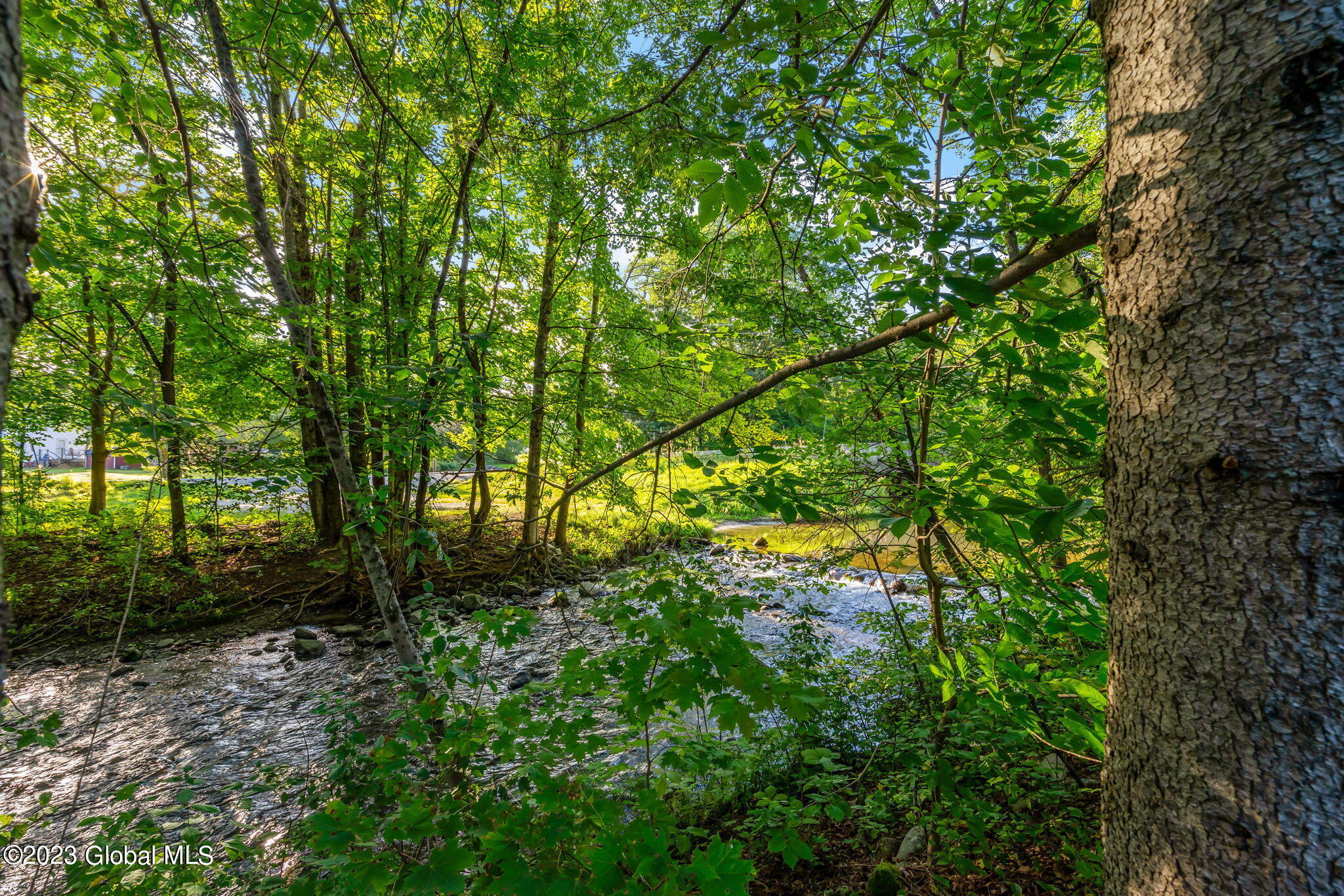 38 Grange Road Stephentown, NY 12168 - Photo 7 of 57 29-web-or-mls-38-grange-rd
