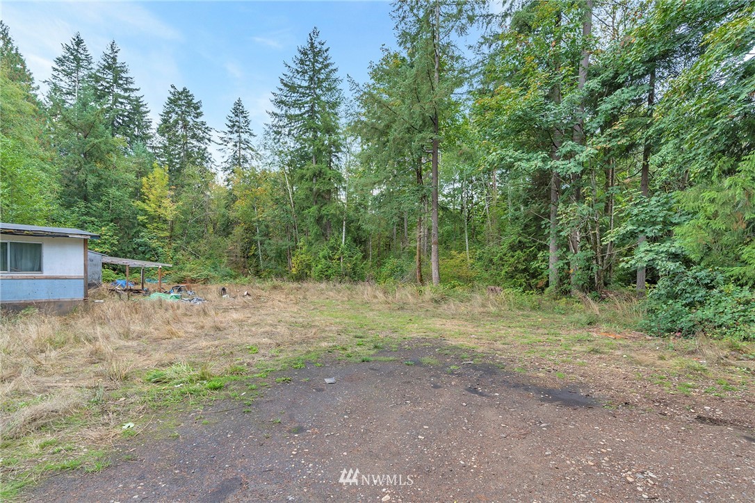 12315 Littlerock Road Southwest Olympia, WA 98512 - Photo 18 of 38 a view of a forest with trees in the background