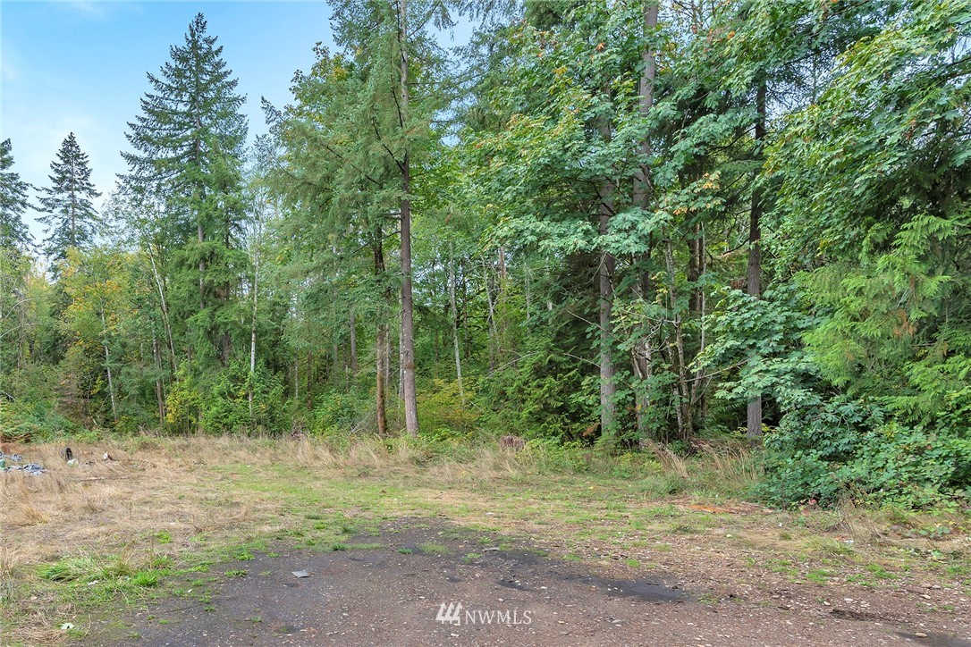 12315 Littlerock Road Southwest Olympia, WA 98512 - Photo 19 of 38 a view of outdoor space and trees