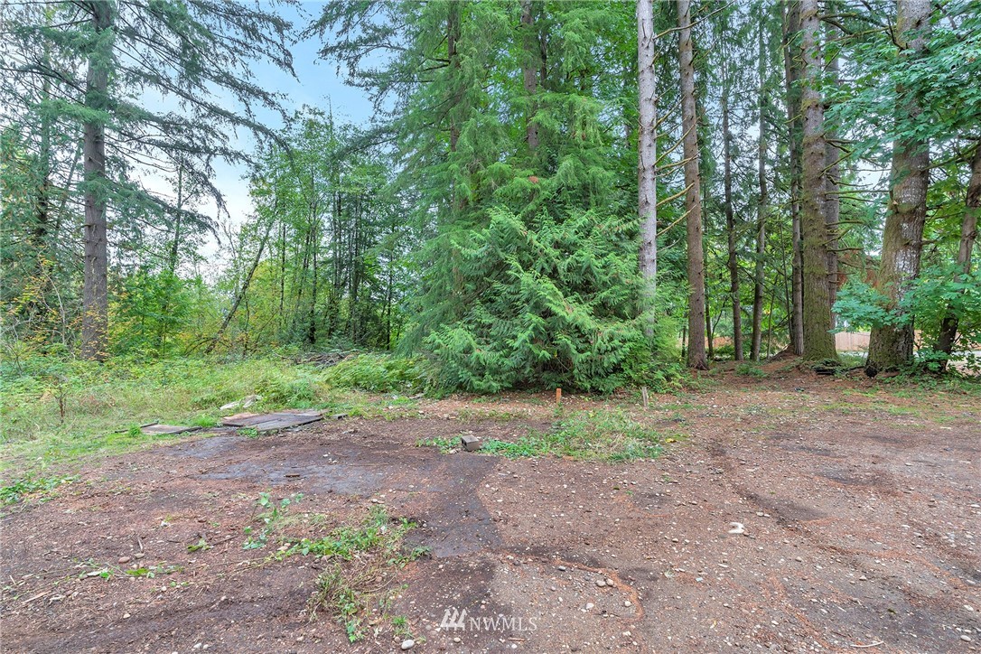 12315 Littlerock Road Southwest Olympia, WA 98512 - Photo 20 of 38 a view of outdoor space with trees