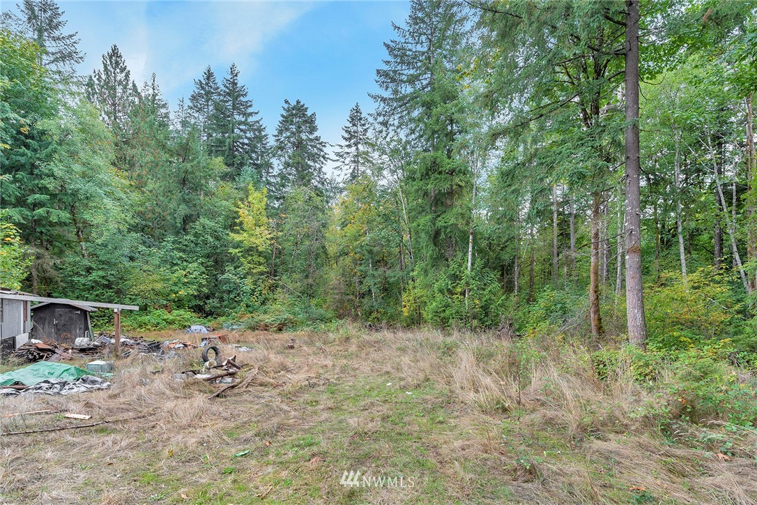 12315 Littlerock Road Southwest Olympia, WA 98512 - Photo 21 of 38 a view of a forest filled with trees