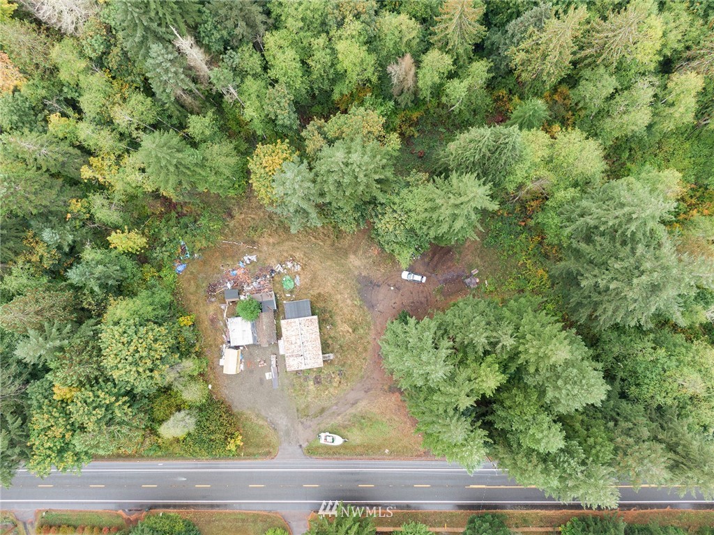 12315 Littlerock Road Southwest Olympia, WA 98512 - Photo 24 of 38 a view of a yard with a tree